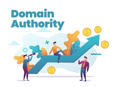 Domain Otoritesi Nedir?